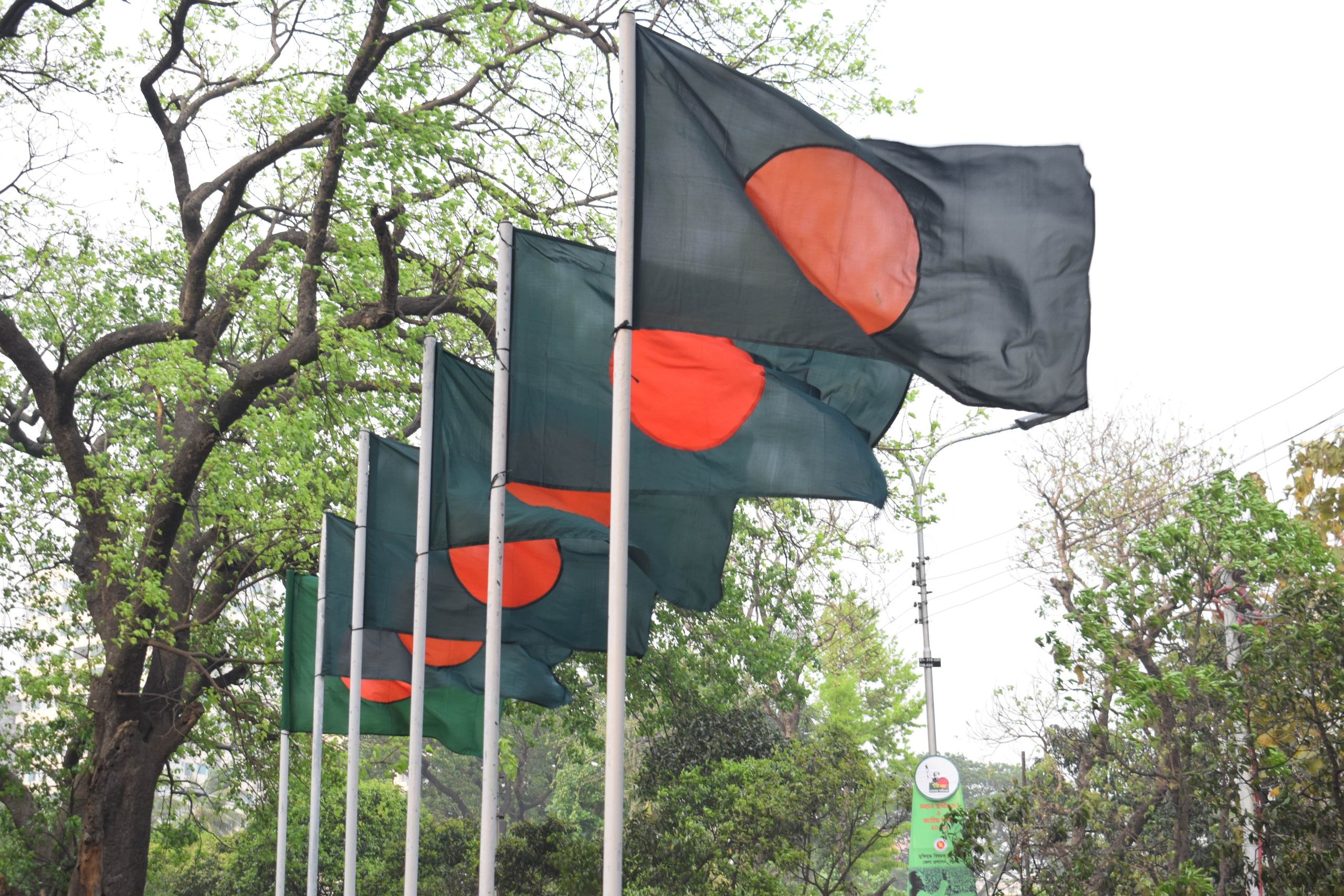 Bangladesh’s Agricultural Innovation Drives Economic Growth