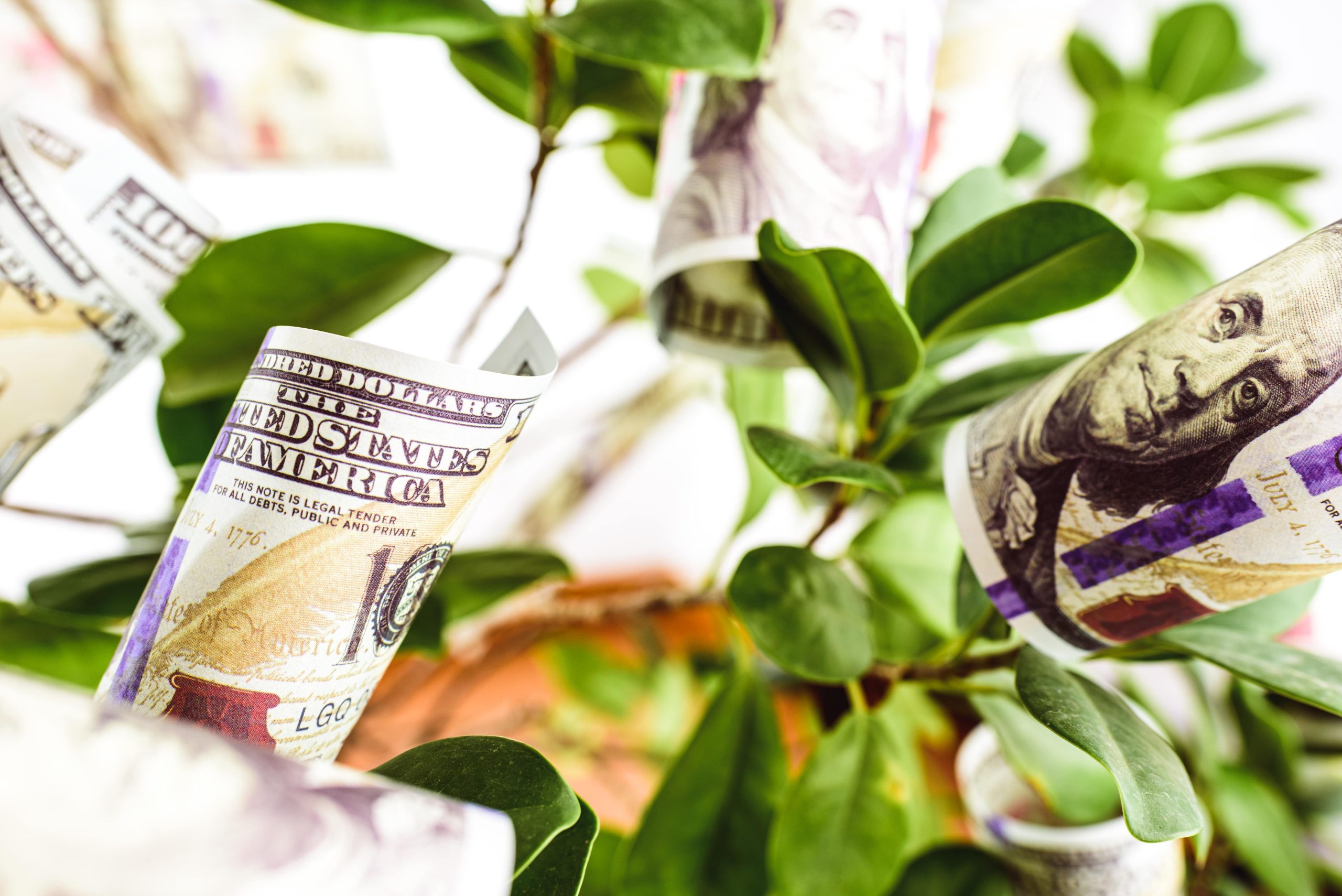 Analyzing Recent Upgrades and Downgrades: Implications for Investors